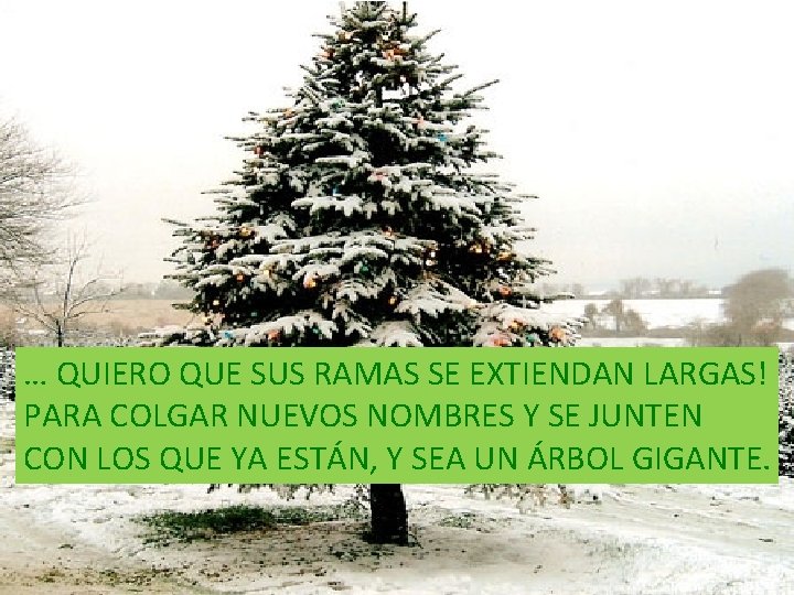 … QUIERO QUE SUS RAMAS SE EXTIENDAN LARGAS! PARA COLGAR NUEVOS NOMBRES Y SE
