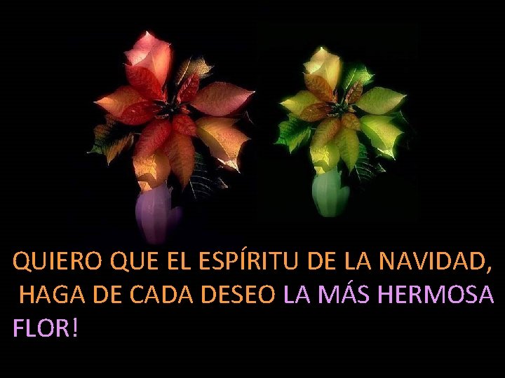 QUIERO QUE EL ESPÍRITU DE LA NAVIDAD, HAGA DE CADA DESEO LA MÁS HERMOSA