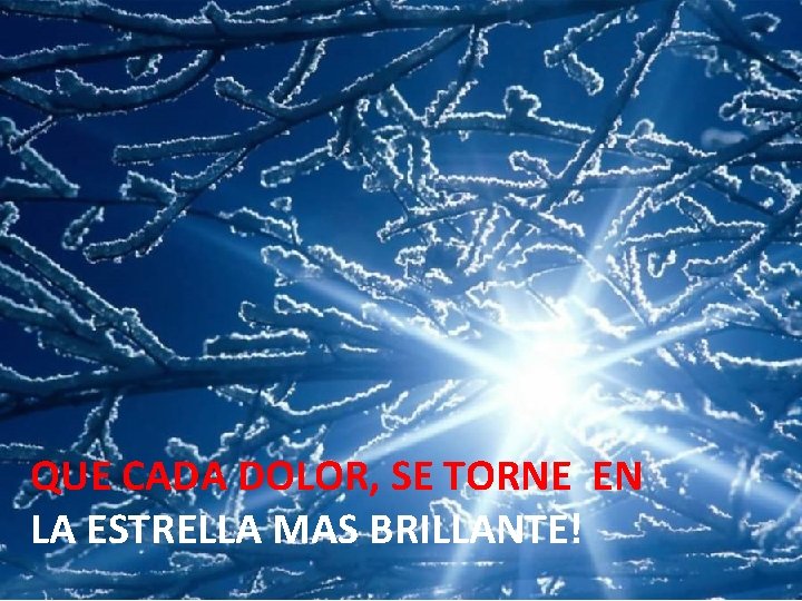 QUE CADA DOLOR, SE TORNE EN LA ESTRELLA MAS BRILLANTE! 
