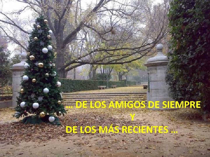 … DE LOS AMIGOS DE SIEMPRE Y DE LOS MÁS RECIENTES … 