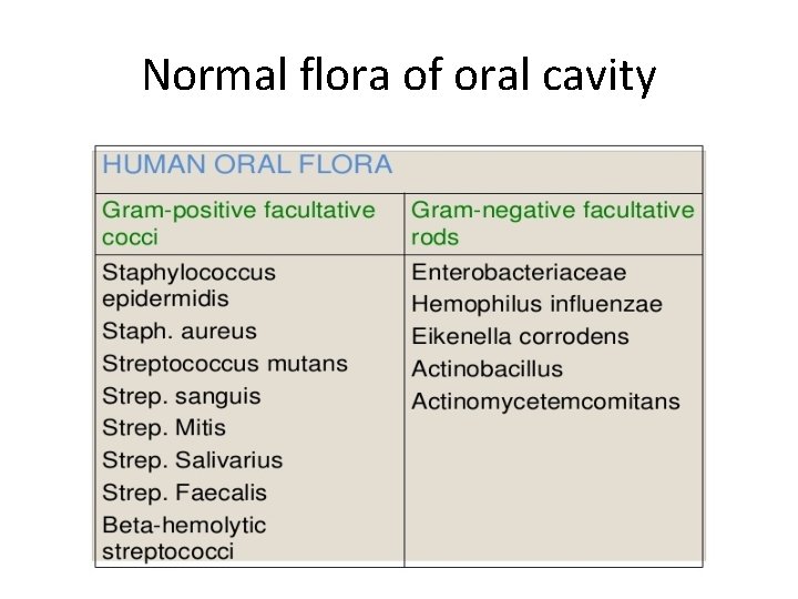 Normal flora of oral cavity 