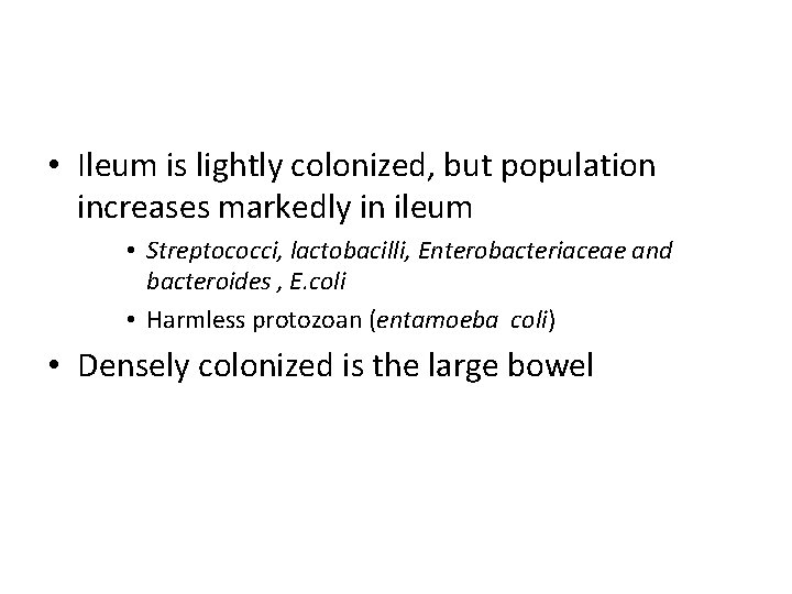  • Ileum is lightly colonized, but population increases markedly in ileum • Streptococci,