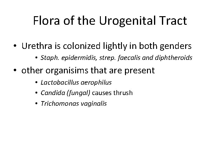 Flora of the Urogenital Tract • Urethra is colonized lightly in both genders •