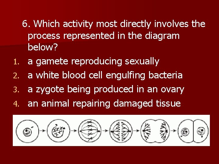  6. Which activity most directly involves the process represented in the diagram below?