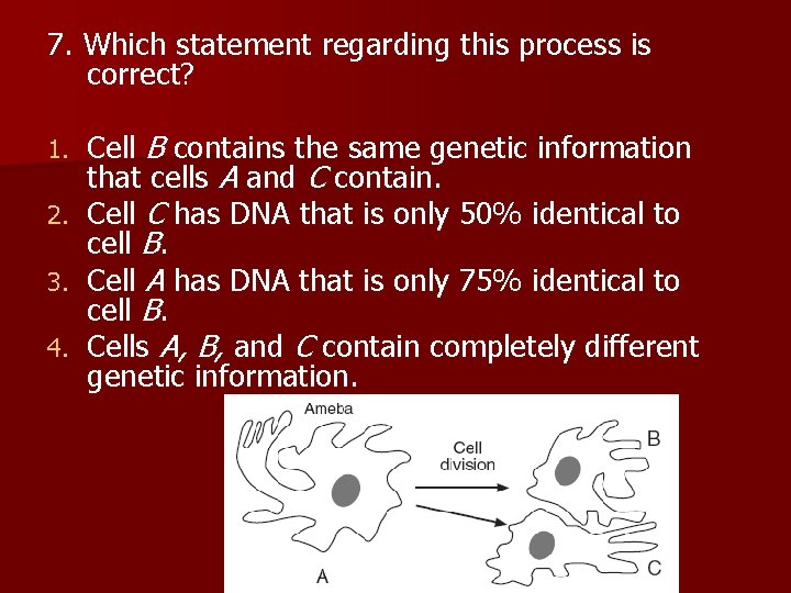 7. Which statement regarding this process is correct? Cell B contains the same genetic