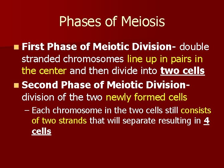 Phases of Meiosis n First Phase of Meiotic Division- double stranded chromosomes line up