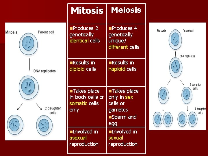 Mitosis Meiosis n. Produces 2 n. Produces 4 n. Results in n. Takes place