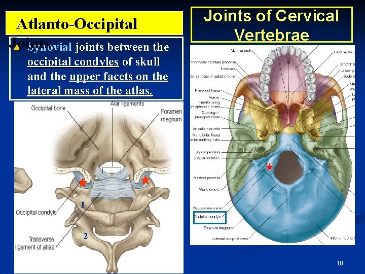 atlanto occipital joint pivot