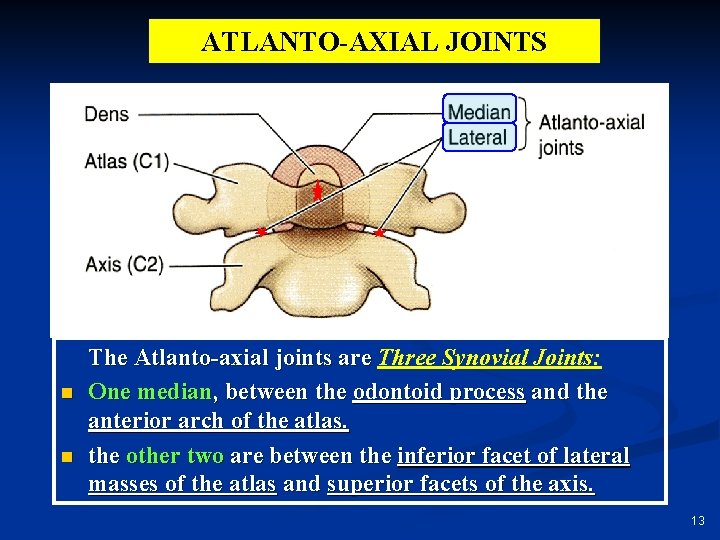 ATLANTO-AXIAL JOINTS n n The Atlanto-axial joints are Three Synovial Joints: One median, between