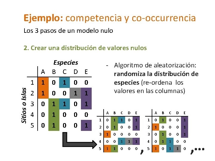 Ejemplo: competencia y co-occurrencia Los 3 pasos de un modelo nulo Sitios o Islas