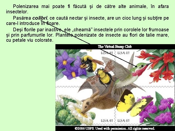 Polenizarea mai poate fi făcută şi de către alte animale, în afara insectelor. Pasărea