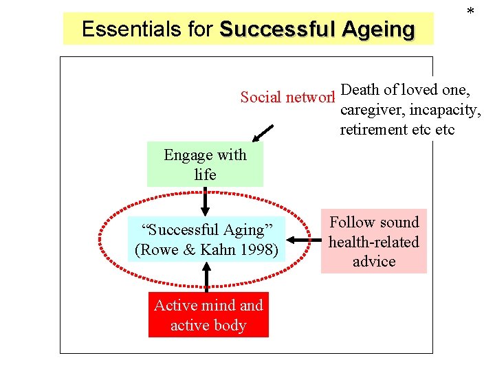 Essentials for Successful Ageing * Social networks. Death of loved one, caregiver, incapacity, retirement