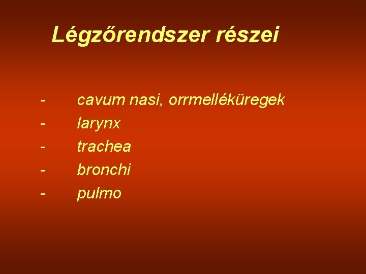 Légzőrendszer részei - cavum nasi, orrmelléküregek larynx trachea bronchi pulmo 