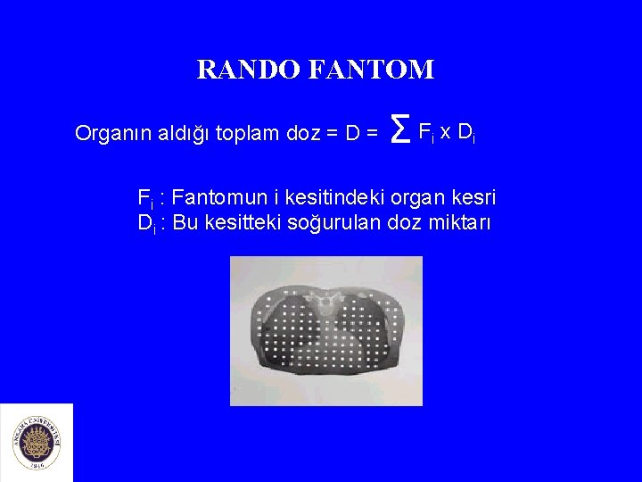 RANDO FANTOM Organın aldığı toplam doz = D = ΣF x. D i i