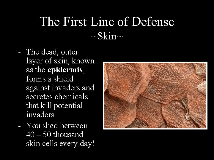 The First Line of Defense ~Skin~ - The dead, outer layer of skin, known