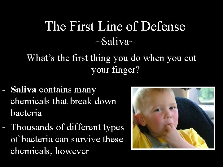 The First Line of Defense ~Saliva~ What’s the first thing you do when you