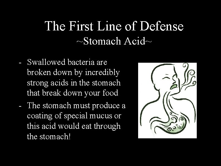 The First Line of Defense ~Stomach Acid~ - Swallowed bacteria are broken down by