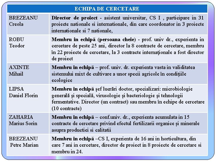 ECHIPA DE CERCETARE BREZEANU Creola Director de proiect - asistent universitar, CS I ,