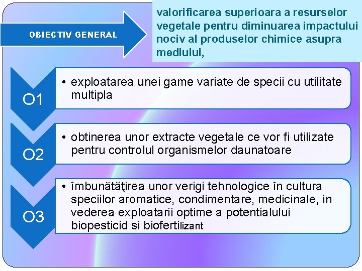 OBIECTIV GENERAL O 1 O 2 O 3 valorificarea superioara a resurselor vegetale pentru