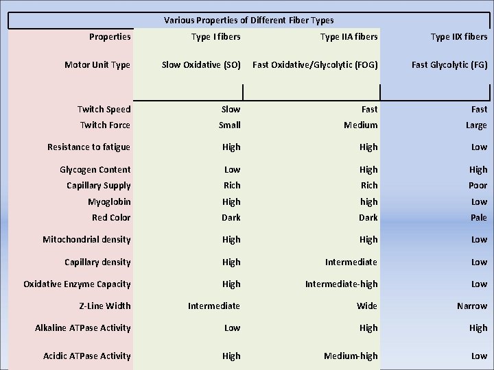 Various Properties of Different Fiber Types Properties Type I fibers Type IIA fibers Type