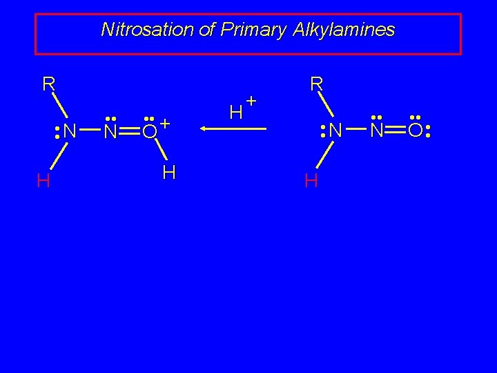 Nitrosation of Primary Alkylamines R • • N H • • N • • Nitrosation of Primary Alkylamines R • • N H • • N • •