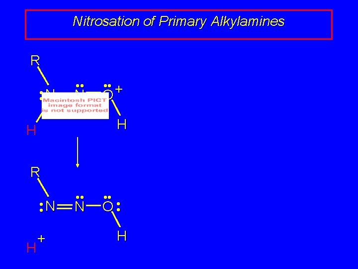 Nitrosation of Primary Alkylamines R • • N • • + O H H Nitrosation of Primary Alkylamines R • • N • • + O H H