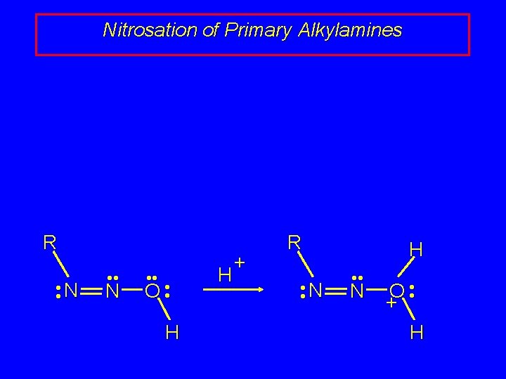Nitrosation of Primary Alkylamines R • • N • • O • • H Nitrosation of Primary Alkylamines R • • N • • O • • H