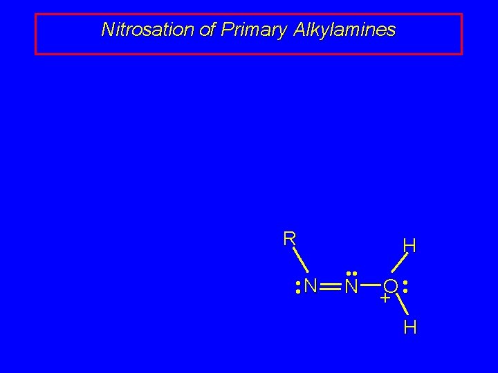 Nitrosation of Primary Alkylamines R • • N H • • N O • Nitrosation of Primary Alkylamines R • • N H • • N O •