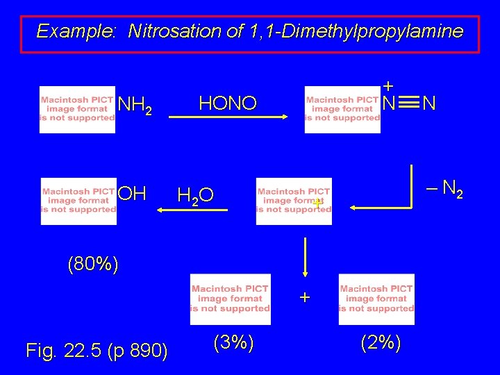 Example: Nitrosation of 1, 1 -Dimethylpropylamine NH 2 OH + N HONO H 2 Example: Nitrosation of 1, 1 -Dimethylpropylamine NH 2 OH + N HONO H 2
