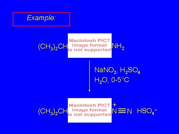 Example: (CH 3)2 CH NH 2 Na. NO 2, H 2 SO 4 H Example: (CH 3)2 CH NH 2 Na. NO 2, H 2 SO 4 H