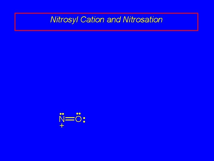 Nitrosyl Cation and Nitrosation • • N + • • O • • Nitrosyl Cation and Nitrosation • • N + • • O • •
