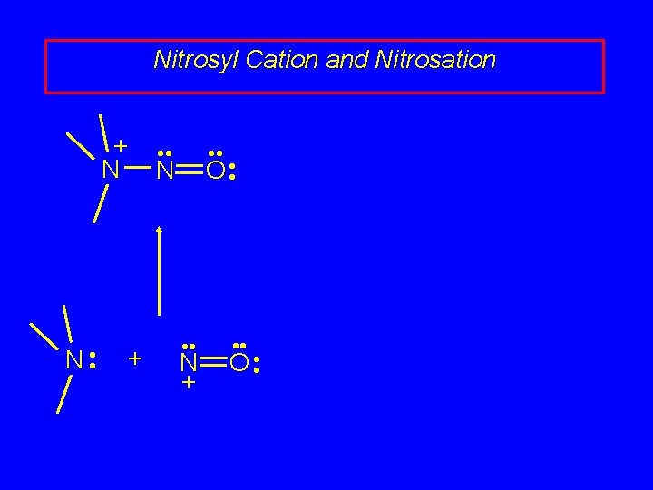 Nitrosyl Cation and Nitrosation + N N • • + • • O • Nitrosyl Cation and Nitrosation + N N • • + • • O •