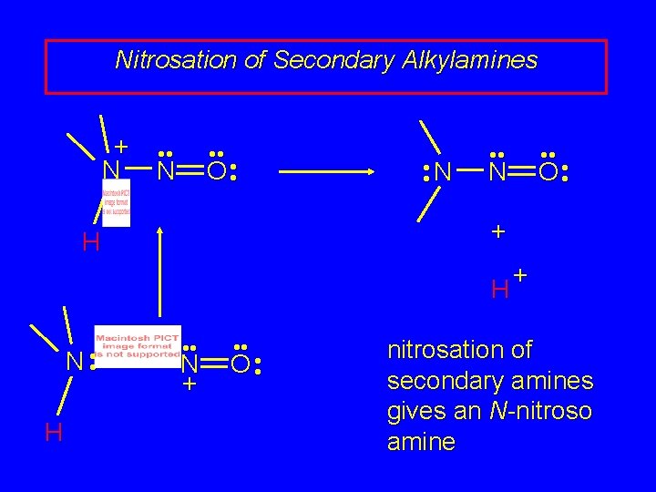 Nitrosation of Secondary Alkylamines + N • • O • • N • • Nitrosation of Secondary Alkylamines + N • • O • • N • •