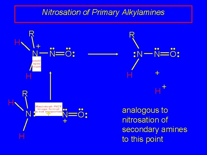 Nitrosation of Primary Alkylamines R H + N R • • N • • Nitrosation of Primary Alkylamines R H + N R • • N • •