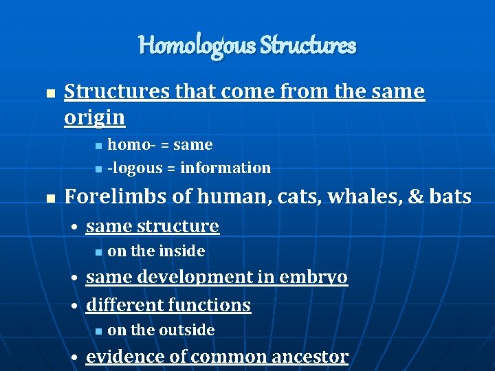 Homologous Structures n Structures that come from the same origin homo- = same n