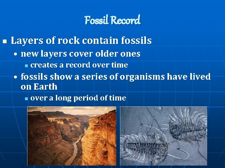 Fossil Record n Layers of rock contain fossils • new layers cover older ones