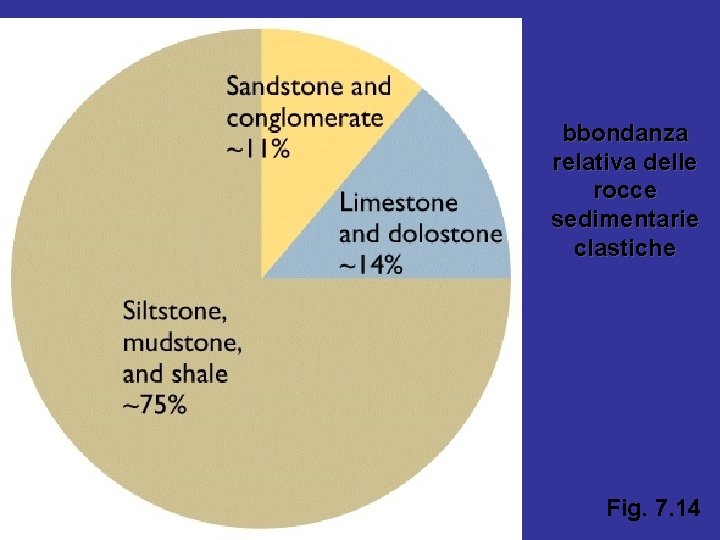 bbondanza relativa delle rocce sedimentarie clastiche Fig. 7. 14 