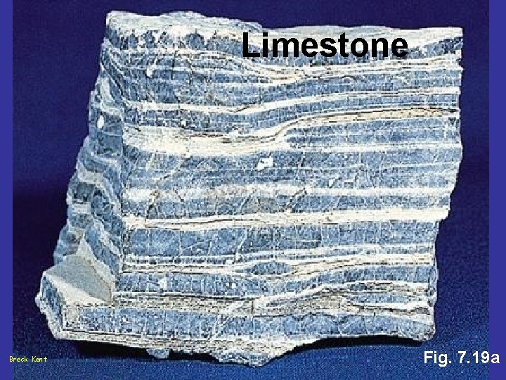 Limestone Breck Kent Fig. 7. 19 a 