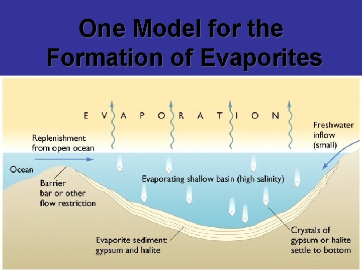 One Model for the Formation of Evaporites 