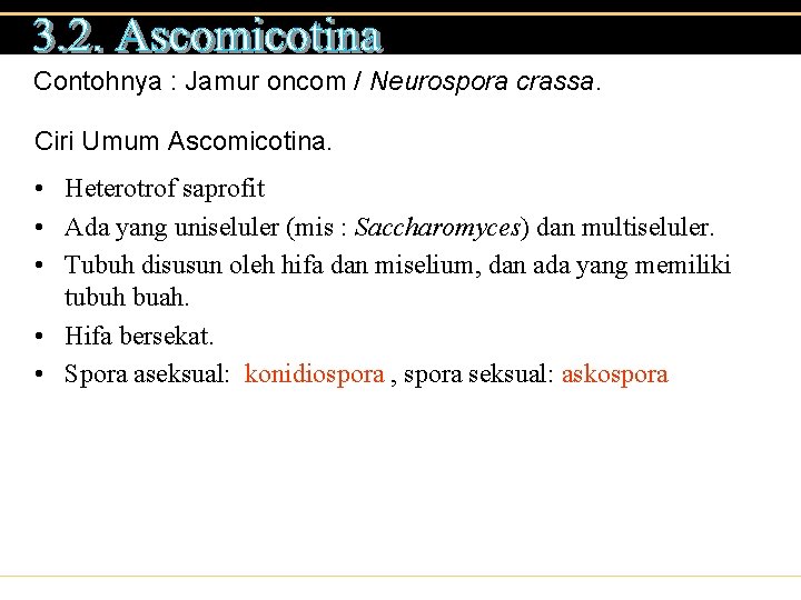 Contohnya : Jamur oncom / Neurospora crassa. Ciri Umum Ascomicotina. • Heterotrof saprofit •