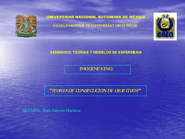 UNIVERSIDAD NACIONAL AUTONOMA DE MÉXICO ESCUELA NACIONAL DE ENFERMERÍA Y OBSTETRICIA SEMINARIO: TEORIAS Y