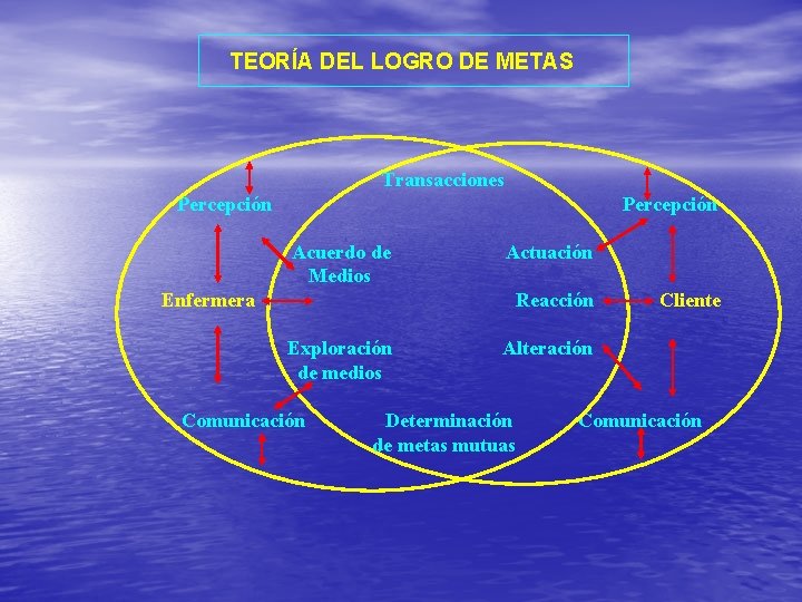 TEORÍA DEL LOGRO DE METAS Transacciones Percepción Acuerdo de Medios Enfermera Actuación Reacción Exploración