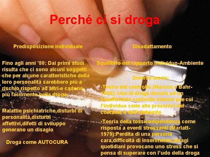 Perché ci si droga Predisposizione individuale Fino agli anni ’ 80: Dai primi studi Perché ci si droga Predisposizione individuale Fino agli anni ’ 80: Dai primi studi