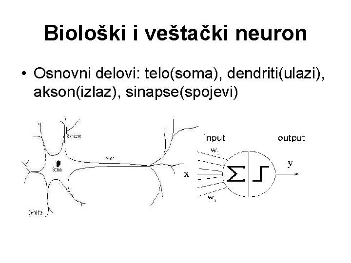 Biološki i veštački neuron • Osnovni delovi: telo(soma), dendriti(ulazi), akson(izlaz), sinapse(spojevi) 