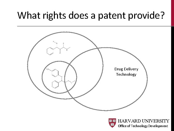 What rights does a patent provide? Drug Delivery Technology HARVARD UNIVERSITY Office of Technology What rights does a patent provide? Drug Delivery Technology HARVARD UNIVERSITY Office of Technology