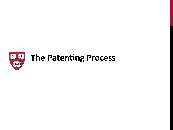 The Patenting Process The Patenting Process