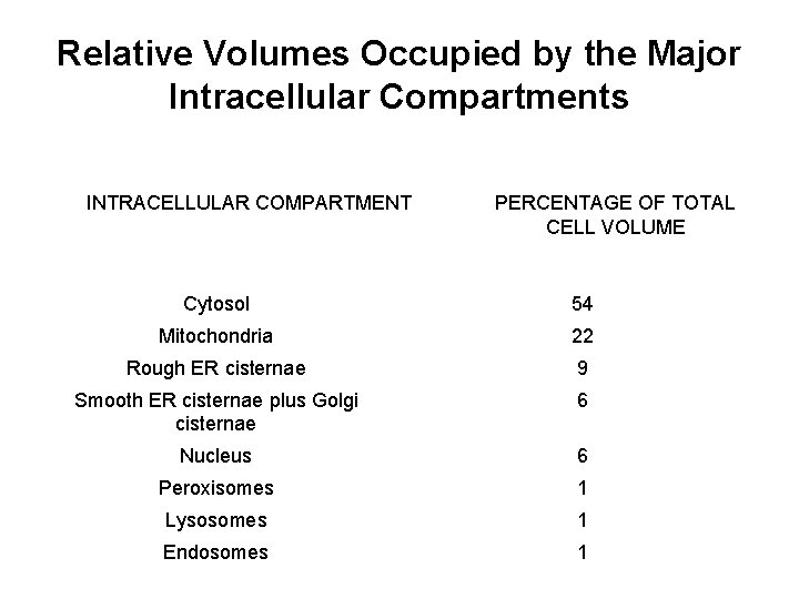 Relative Volumes Occupied by the Major Intracellular Compartments INTRACELLULAR COMPARTMENT PERCENTAGE OF TOTAL CELL