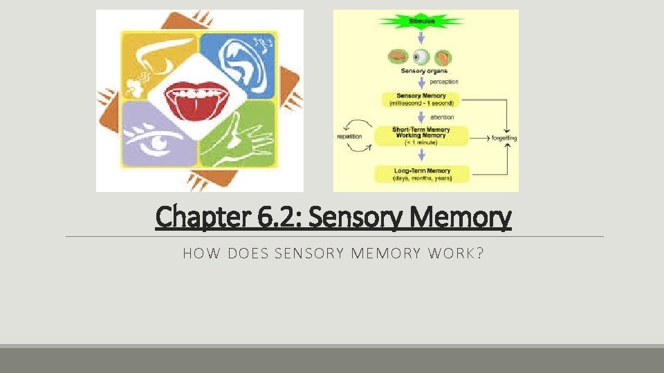 Chapter 6. 2: Sensory Memory HOW DOES SENSORY MEMORY WORK? 