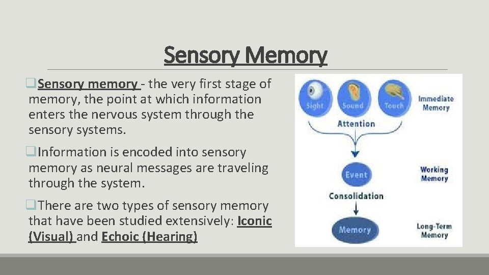 Sensory Memory q. Sensory memory - the very first stage of memory, the point