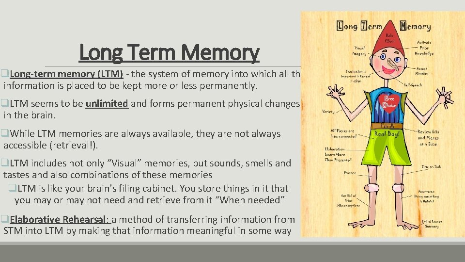 Long Term Memory q. Long-term memory (LTM) - the system of memory into which